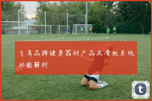 飞鸟品牌健身器材产品及滑轮系统功能解析