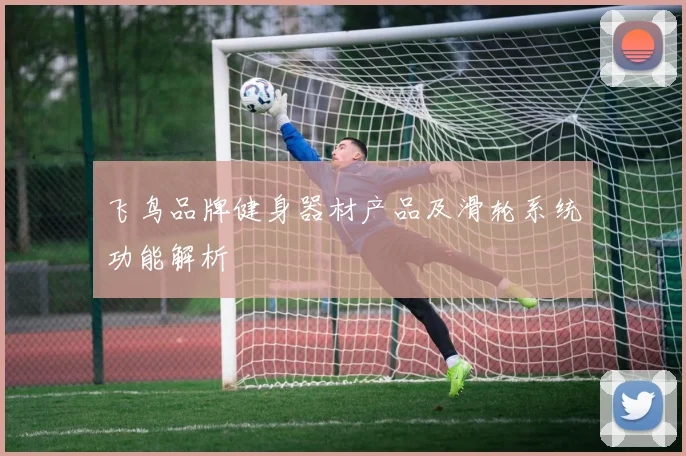 飞鸟品牌健身器材产品及滑轮系统功能解析